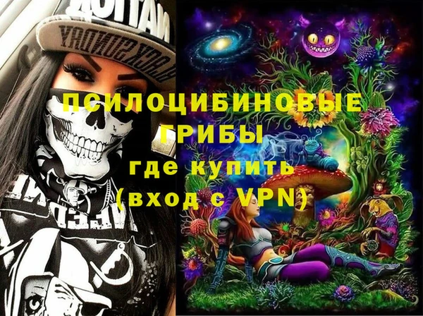 тгк Абаза